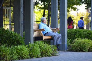 Man In Assisted Living Bench